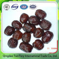 Hot Sale Red Golden Silk Dates Fruit